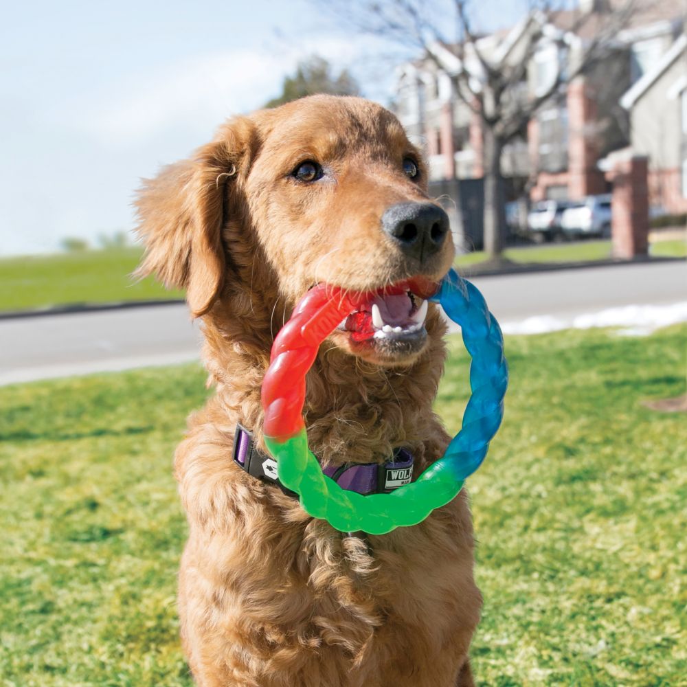 צעצוע לכלב טוויז טבעת צבעונית L קונג