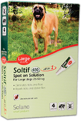 אמפולת Soltif לכלבים גדולים שמשקלם מעל 25 ק"ג