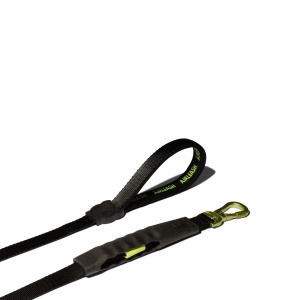 רצועה לכלב AIR LEASH NEON