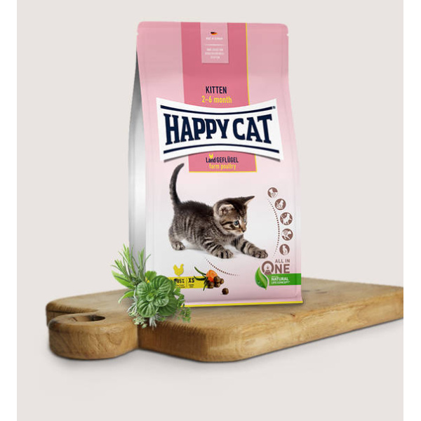 האפי קט happy cat קיטן עוף 4 ק"ג