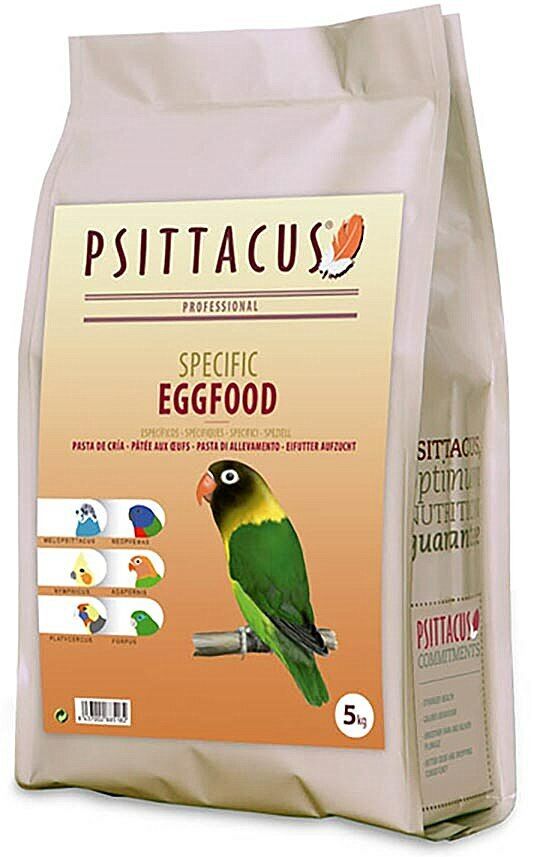 מזון ביצים פסיטקוס 5 קג
