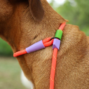 EVEREST SLIP-N-LOCK LEASH