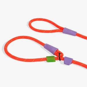 EVEREST SLIP-N-LOCK LEASH